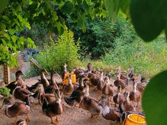 -清远鱼水旅游风景度假区