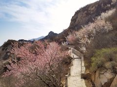 -北京凤凰岭