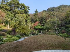 -云溪植物园