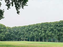 -河南省黄河迎宾馆