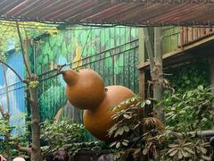 -呀路古热带植物园
