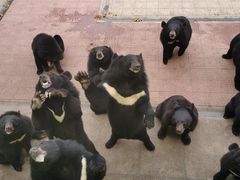 -西霞口神雕山野生动物世界