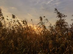-广富林郊野公园