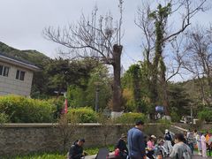-燕塞湖鸟语林景区