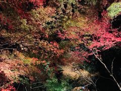 -醍醐寺