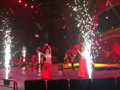 -珠海横琴长隆《卡卡虎奇遇记》