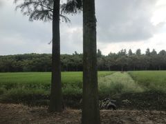 -广富林郊野公园