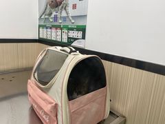 -瑞派宠物医院(搏威敦和院)