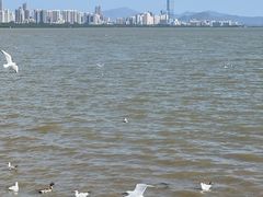 -深圳湾公园(南山区)