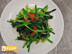 -大班家政月嫂育儿嫂(总部店)