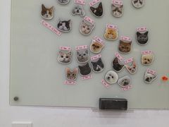 -四月宠物医院·猫专科·心脏专科·内科(转塘店)