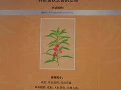 -中国湿地博物馆