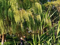 -苏州河梦清园环保主题公园