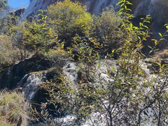-西姆山居酒店(九寨沟沟口店)