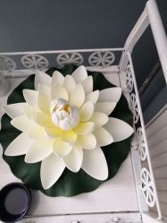 -华脉瘦身