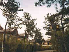-汤泊温泉度假村