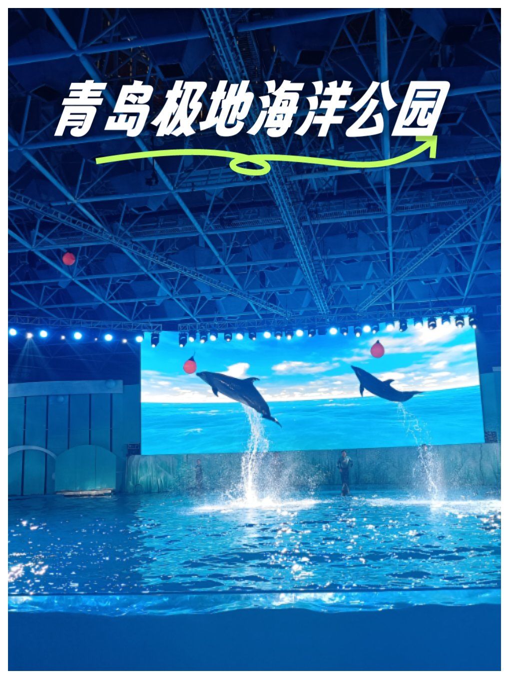 青岛极地海洋公园#海豚表演#海狮海象表演来了20 次了,离家7