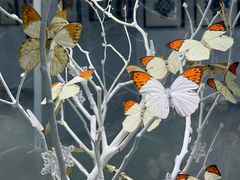 -凯德广场(西城店)