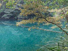 -鼎湖山风景区