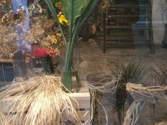 -植物学家的女儿(北马道巷店)