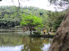 -番禺大夫山森林公园