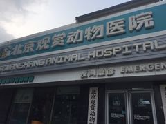 -北京观赏动物医院·24小时大型综合·猫专科·异宠专科