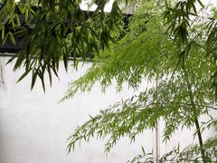 -拙政园