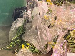 -花鸟鱼虫鲜花绿植市场(玉泉路店)