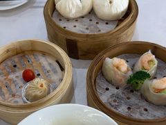 -泉龙渔村·粤式早茶·金牌烧鹅(中山三乡店)