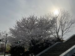 -石湖景区