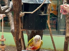 -北京野生动物园