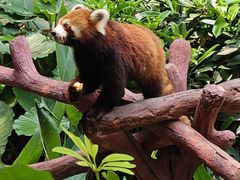 -长鹿旅游休博园