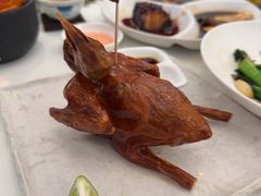 -侨美·唐荔园·40年地道粤菜