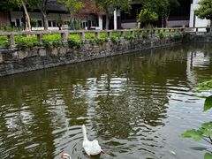 -苏州文庙(姑苏区)