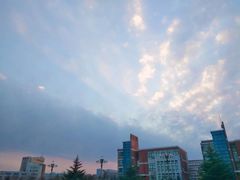 -山东外贸职业学院