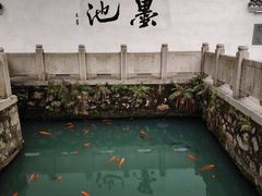 -墨池公园