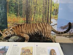 -大连自然博物馆