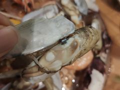 -鲜小岛·铜锅涮肉