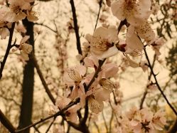 -北京七彩云南翡翠珠宝旗舰店(月坛店)