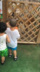 -萌宠亲子动物乐园(槐房万达店)