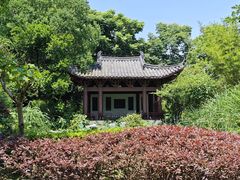 -武汉园博园(武汉自然博物馆)