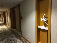 -维也纳酒店-停车场