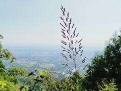 -北京凤凰岭