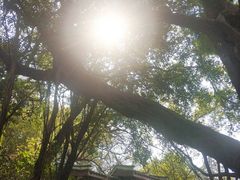 -乌山风景区