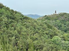 -龙口南山旅游景区
