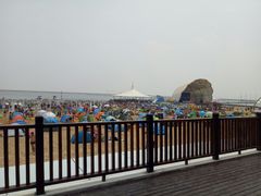 -碧海金沙