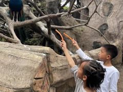 -长鹿旅游休博园