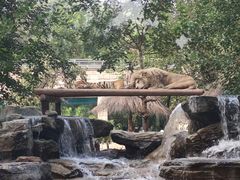 -北京野生动物园