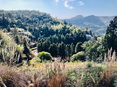 -鼓岭旅游度假区
