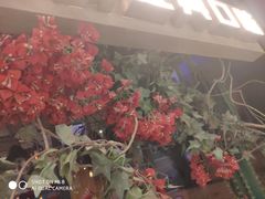 门面-烤匠麻辣烤鱼(青羊万达店)